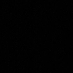 Meet your Posher, Dakota